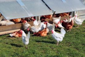 现代化规；；；臣巴涝准庸は钅靠尚行匝芯勘ǜ