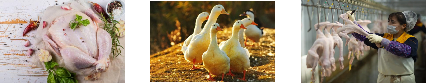 必发7790(中国区)电子集团-线上平台登录入口