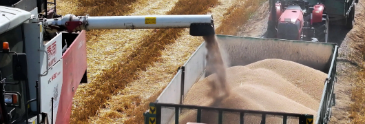 必发7790(中国区)电子集团-线上平台登录入口