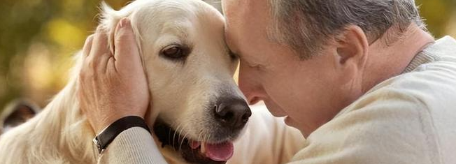 必发7790(中国区)电子集团-线上平台登录入口