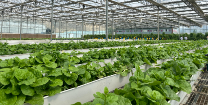 必发7790(中国区)电子集团-线上平台登录入口