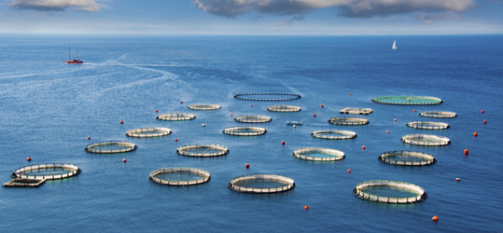 必发7790(中国区)电子集团-线上平台登录入口