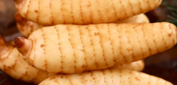 必发7790(中国区)电子集团-线上平台登录入口