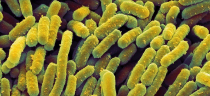 必发7790(中国区)电子集团-线上平台登录入口