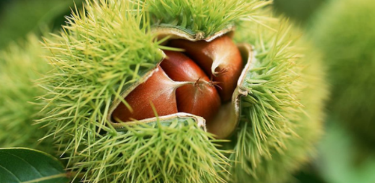 必发7790(中国区)电子集团-线上平台登录入口