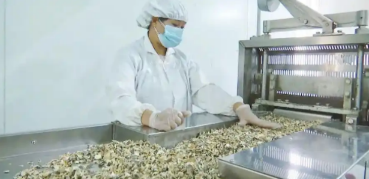 必发7790(中国区)电子集团-线上平台登录入口