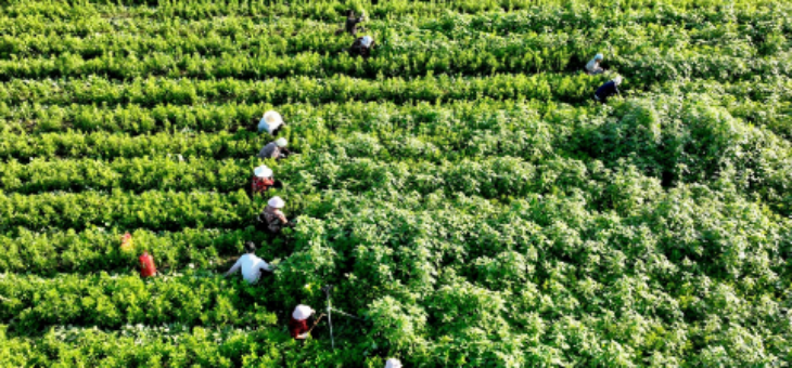 必发7790(中国区)电子集团-线上平台登录入口