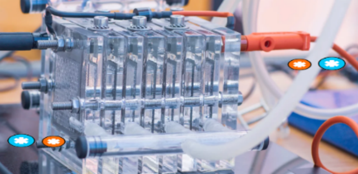 必发7790(中国区)电子集团-线上平台登录入口