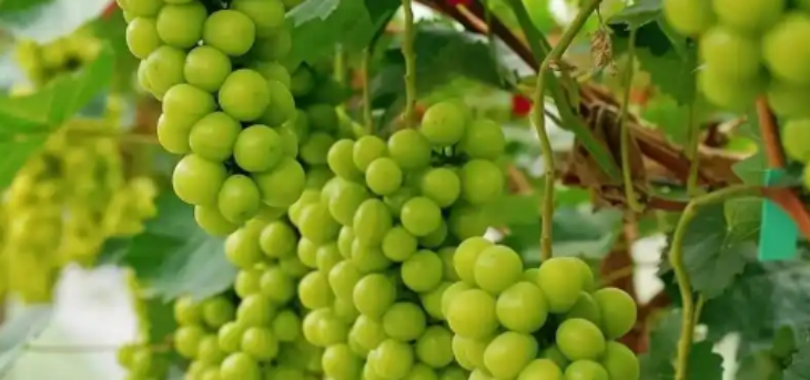 必发7790(中国区)电子集团-线上平台登录入口