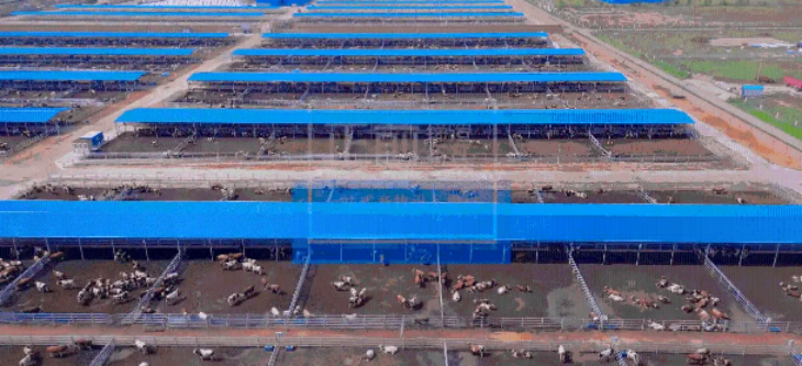 必发7790(中国区)电子集团-线上平台登录入口