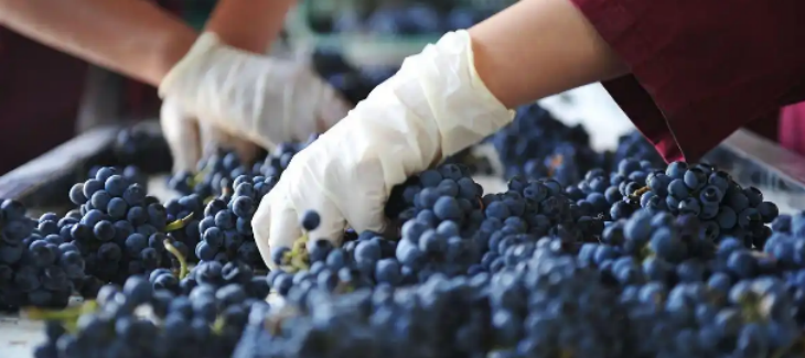 必发7790(中国区)电子集团-线上平台登录入口