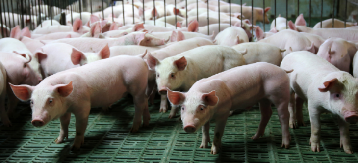 必发7790(中国区)电子集团-线上平台登录入口