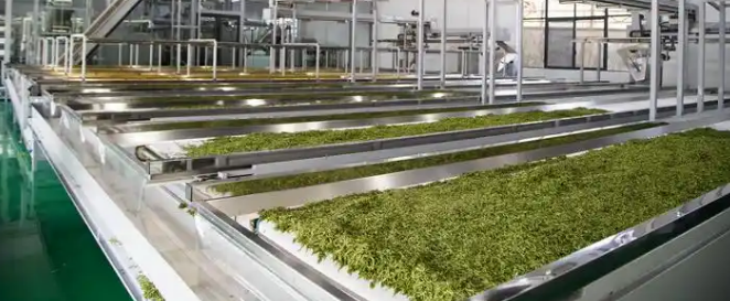 必发7790(中国区)电子集团-线上平台登录入口