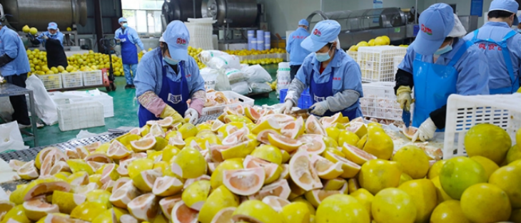 必发7790(中国区)电子集团-线上平台登录入口