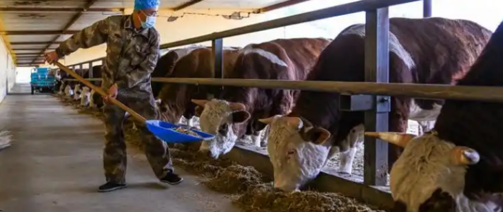 必发7790(中国区)电子集团-线上平台登录入口