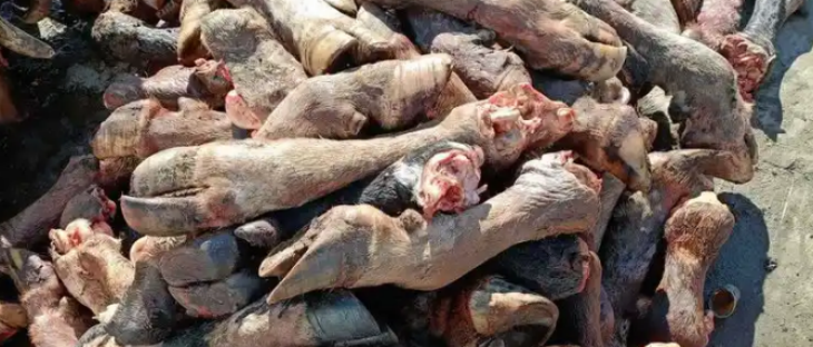 必发7790(中国区)电子集团-线上平台登录入口