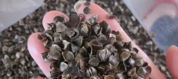 必发7790(中国区)电子集团-线上平台登录入口