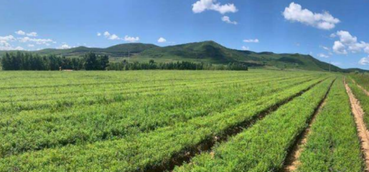 必发7790(中国区)电子集团-线上平台登录入口