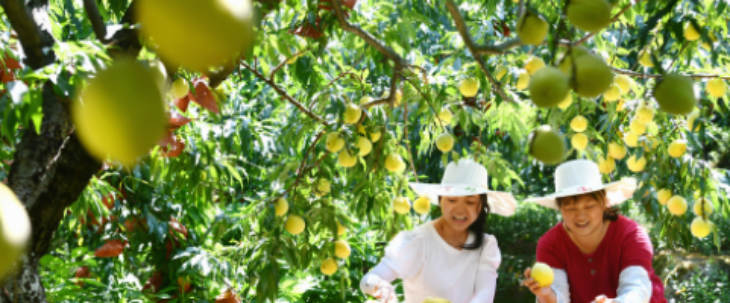 必发7790(中国区)电子集团-线上平台登录入口