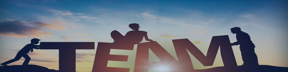 必发7790咨询团队